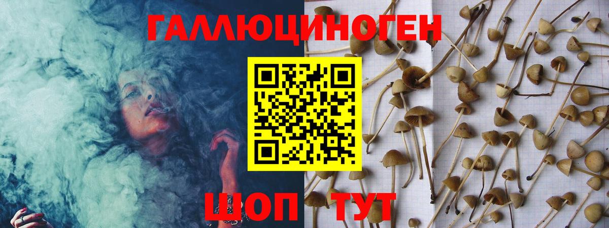 Псилоцибиновые грибы MAGIC MUSHROOMS  Вход с VPN  Димитровград 
